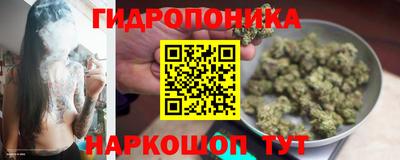 гидра Кингисепп