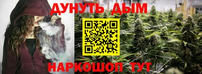 гидра Кингисепп