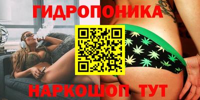 гидра Кингисепп